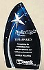 Shooting Star Award (4 1/2"x7 3/4"x1")